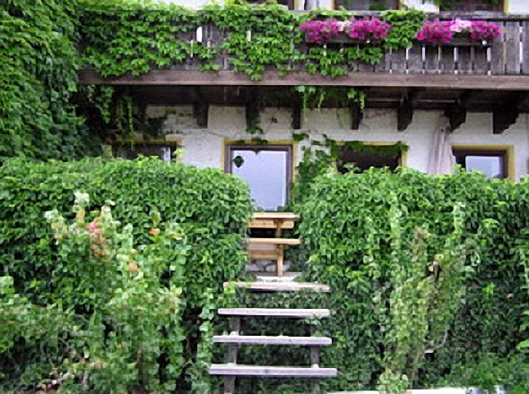 Terrasse 2